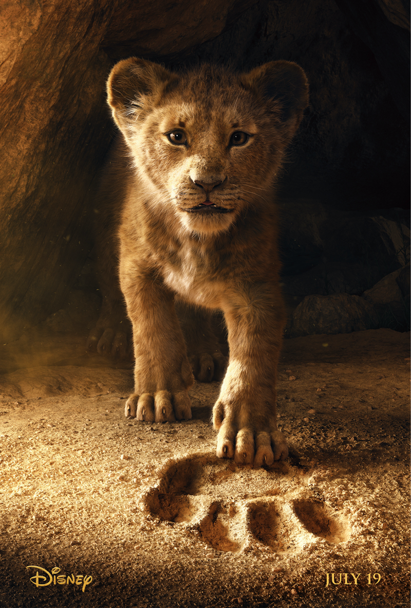 Hello there, little lion.